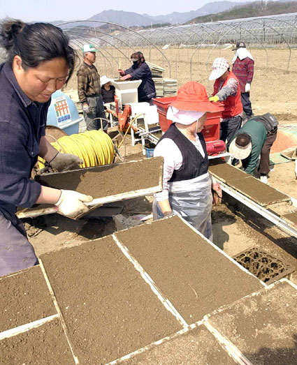 모판 만들기 '한창'