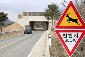 생태통로 효율성 의문