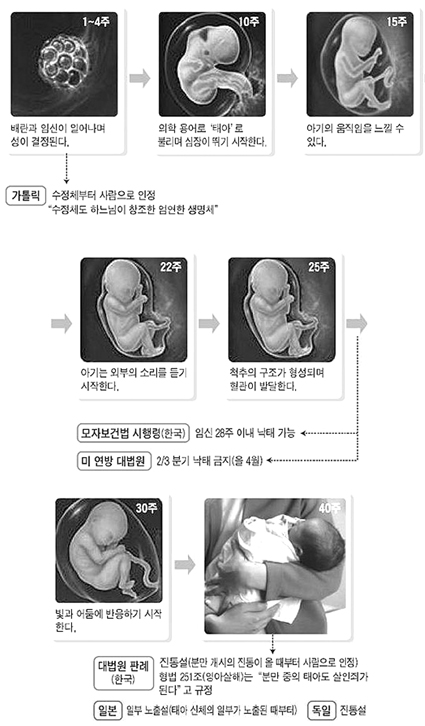 '태아, 사람인가 아닌가' 논란