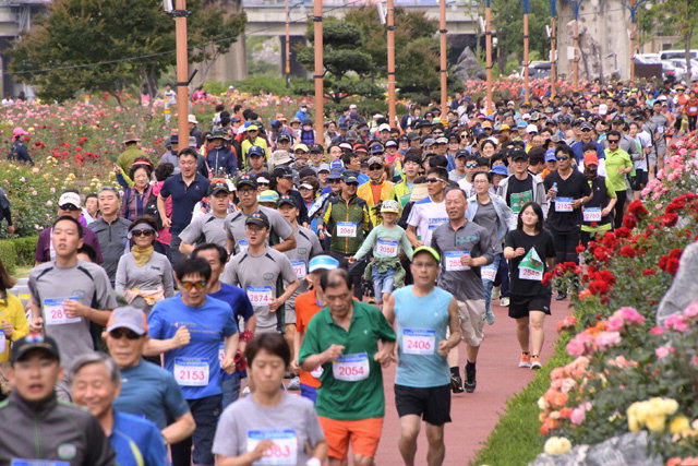 ▲ 삼척시민달리기대회에 참가한 시민 등이 장미공원 잔디광장 일원을 힘차게 달리고 있다.