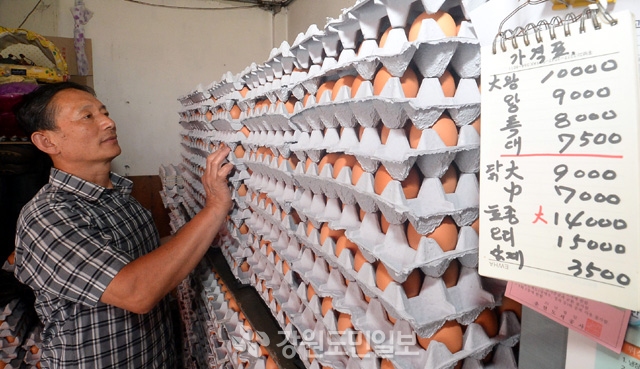 ▲ AI가 발생하지 않은 강원도 산 계란이 전국적으로 인기를 끌고 있는 가운데 16일 춘천의 한 계란 도매상에서 직원이 계란을 정리하고 있다.  안병용
