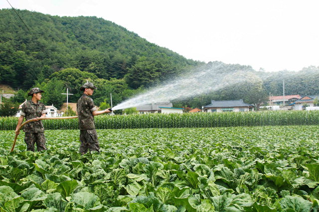 ▲ 11사단 장병들이 21일 가뭄으로 어려움을 겪고 있는 홍천 김천학씨 농장에 급수를 지원하고 있다.