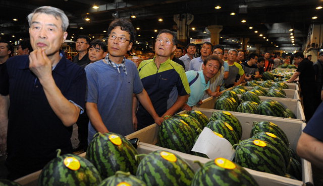 ▲ 양구 수박 첫 출하 행사가 24일 오전 서울 가락동 농산물도매시장에서 농업관련 단체장과 농민 등이 참석한 가운데 열렸다.