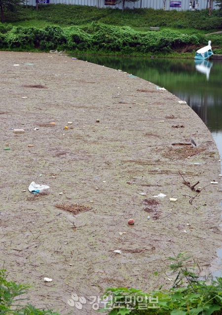 ▲ 소양댐이 지난 25일부터  방류를 시작하면서 춘천 공지천에 떠내려온 각종 쓰레기들이 쌓여 있다.  서영