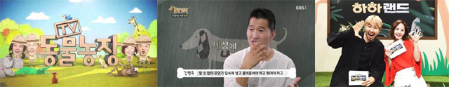 ▲ 사진 왼쪽부터 SBS TV ‘TV 동물농장’·EBS ‘세상에 나쁜 개는 없다’·MBC TV ‘하하랜드’.