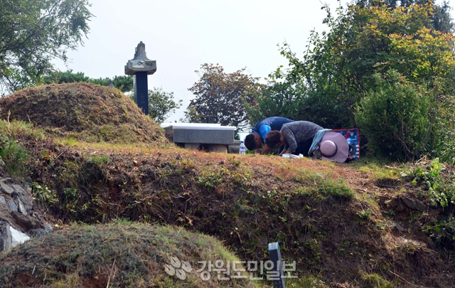 ▲ 올 추석연휴가 최대 10여일간 이어지는 가운데 24일 춘천 공원묘원을 찾은 한 가족이 벌초를 한 후 조상에 인사를 올리고 있다.  박상동