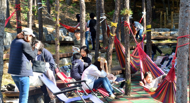 ▲ 춘천북페스티벌이 열린 춘천시립도서관 야외 숲공원에 조성된 북 텐트와 해먹에서 참가자들이 독서를 하고있다.