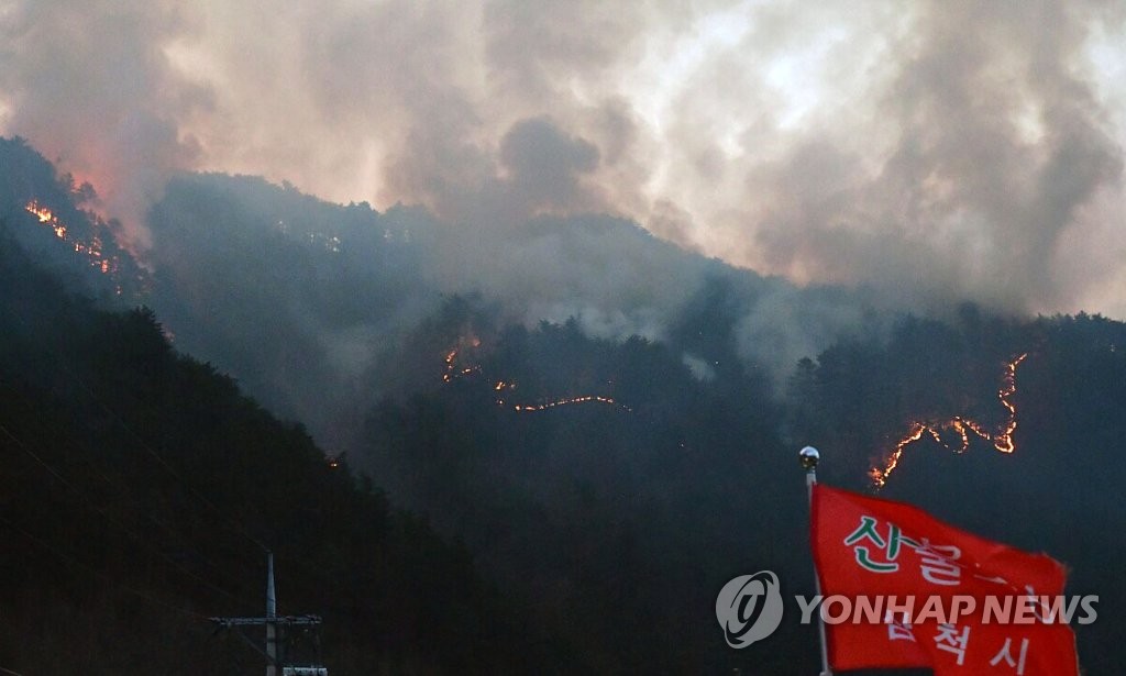 ▲ 강원 삼척시 노곡면 하마읍리에서 발생한 산불이 13일 인근으로 번지고 있다