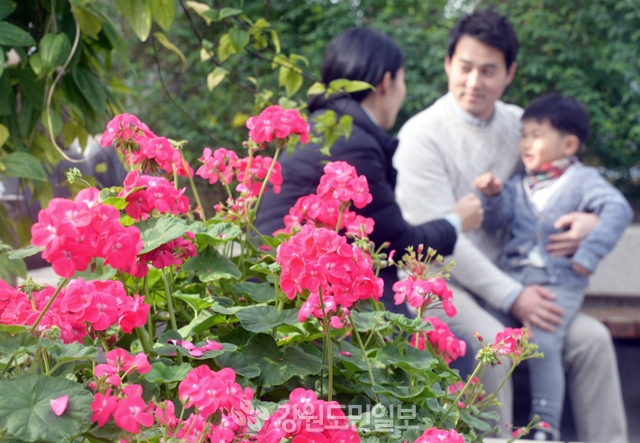 ▲ 얼었던 얼음이 녹는다는 우수인 19일 춘천 화목원을 찾은 가족들이 만개한 꽃들과 함께 봄기운을 느끼고 있다.  박상동