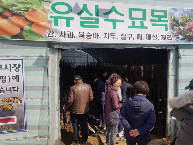 ▲ 산림조합이 운영하는 나무시장이 춘천 사농동에 문을 연 가운데 17일 묘목을 구하려는 소비자들로 매장이 붐비고 있다.  