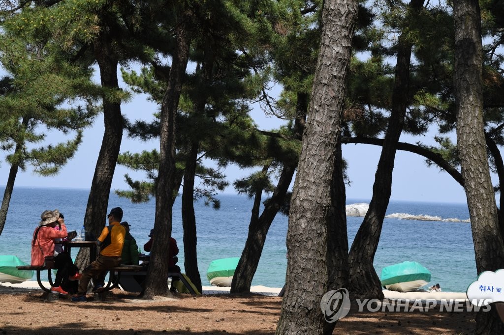 ▲ 강릉의 낮 기온이 영상 25도까지 올라간 지난 19일 경포 해변을 찾은 관광객들이 송림 속에서 더위를 식히고 있다.