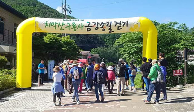 ▲ 원주시걷기협회가 주최하는 치악산 금강송길 걷기대회가 지난 19일 오전 치악산 일대에서 열렸다.