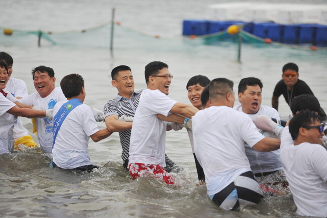 ▲ 장사항 오징어맨손잡기 축제에 참가한 체험자들이 바다 줄다리기를 하고있다.