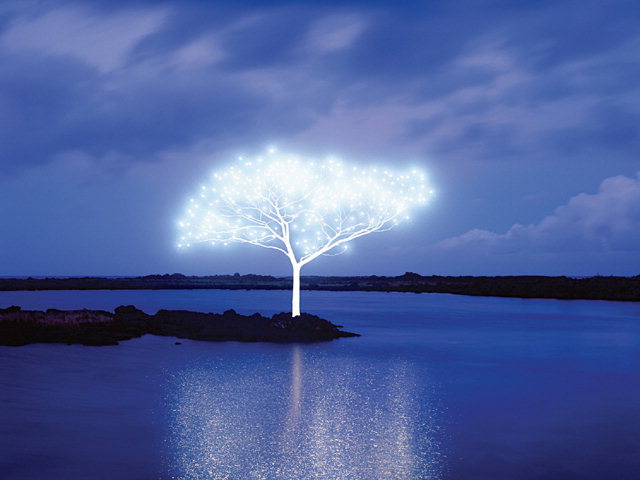 ▲ 이정록 작 ‘Tree of life’