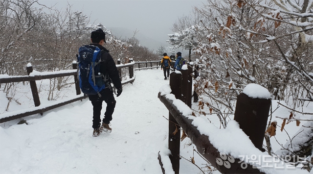 ▲ 설경을 자랑하는 태백산국립공원에 지난 12일 많은 눈이 내리면서 주말 등산객들이 정상 천제단으로 오르며 겨울 등산의 묘미를 만끽하고 있다.태백산/구정민