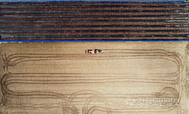 ▲ 본격적인 영농철이 시작된 가운데 14일 춘천 서면 감자밭에서 농민이 거름을 뿌리며 농사 준비를 하고 있다.  최유진