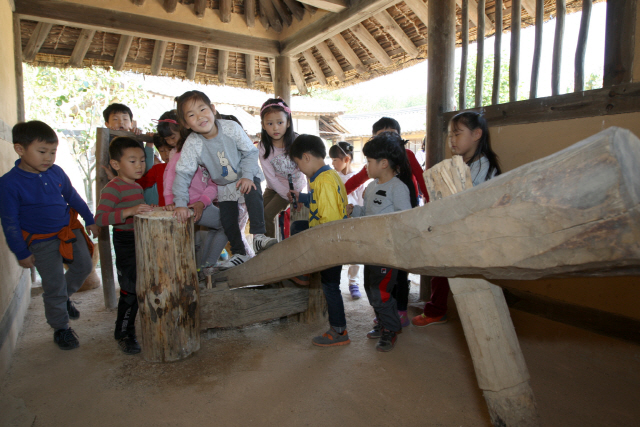 ▲ 왕곡마을을 방문한 어린이들이 디딜방아 체험을 하고 있다.
