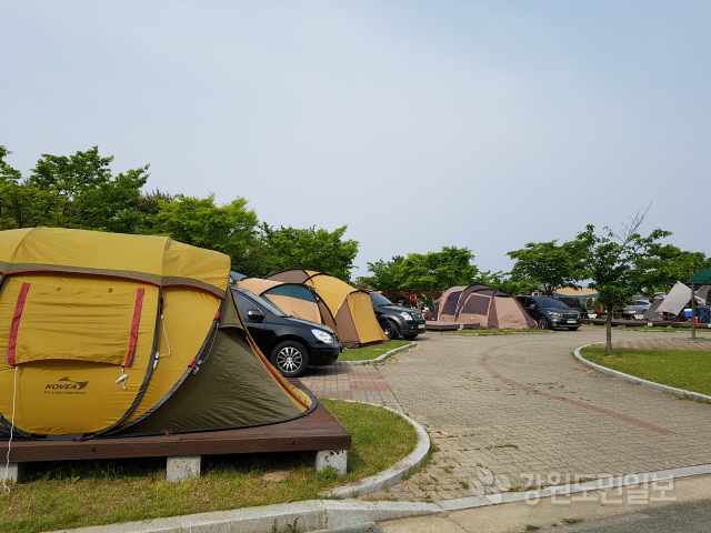 ▲ 주말인 지난 11일 고성 송지호 오토캠핑장에 가족,친지단위의 관광객들이 대거 찾아 캠핑을 즐기며 즐거운 한때를 보냈다.