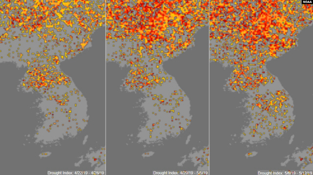 ▲ 노란색에서 붉은색으로 변할수록 가뭄의 정도가 심각함을 의미한다. 사진은 올해 4월 마지막주(왼쪽 지도)부터 5월 첫째주(가운데), 5월 둘째주(오른쪽)의 변화. 2019.5.18 [VOA 제공]