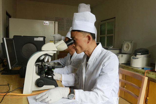 ▲ 아프리카돼지열병 검사하는 북한 수의학연구소 연구원