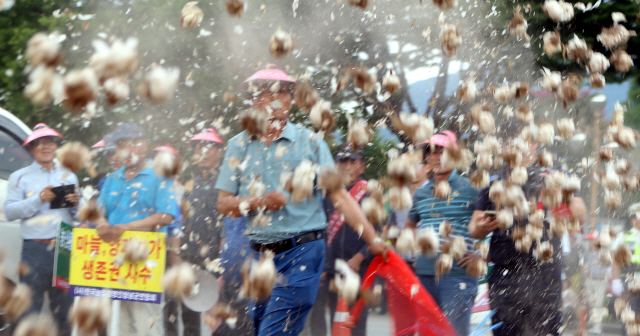 한국농업경영인 합천창녕연합회가 16일 오후 경남도청 앞에서 마늘·양파 가격 폭락에 대한 정부 대책을 촉구하는 집회를 한 뒤 마늘을 집어던지는 퍼포먼스를 하고 있다. 