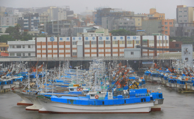 제5호 태풍 ‘다나스’가 북상 중인 19일 오후 제주 서귀포항에 어선들이 태풍 대비를 마치고 정박해 있다. 