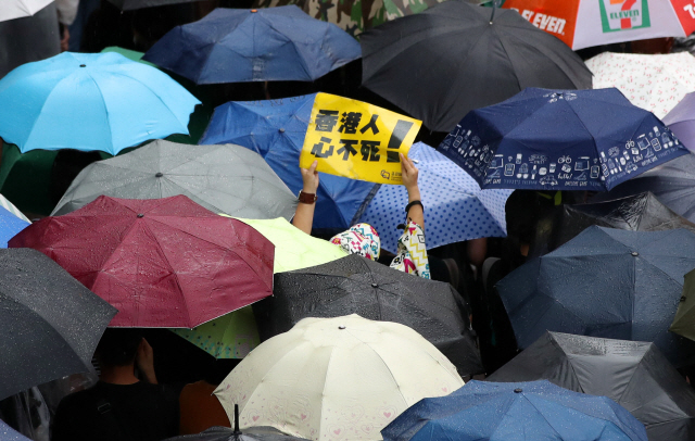 18일 오후(현지시간) 홍콩 빅토리아 공원에서 송환법에 반대하고 경찰의 강경 진압을 규탄하는 대규모 도심 집회에 참가한 한 홍콩 시민이 우산행렬 사이로 손팻말을 들고 있다.  이날 집회는 홍콩 대규모 도심 시위를 주도했던 민간인권전선 주도로 열렸다. 