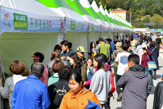 ▲ 정선사과축제 마지막 날인 20일 임계사통팔달시장에 가을여행에 나선 관광객들의 발길이 이어졌다.
