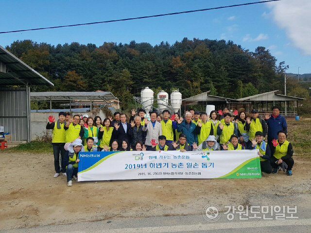 ▲ NH캐피탈(대표 이구철) 임직원 40여명은 25일 춘천시 동산면 군자리 농가에서 농촌일손돕기를 했다.