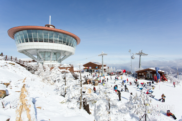 ▲ 하이원 리조트는 스키장 개장과 스노우월드 오픈 기념 경품이벤트를 진행한다.