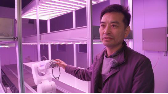 ▲ 박님일 스마트팜 티테크 대표가 태백 화전동 식물자원연구소에서 로봇을 활용한 농사를 짓고 있다.