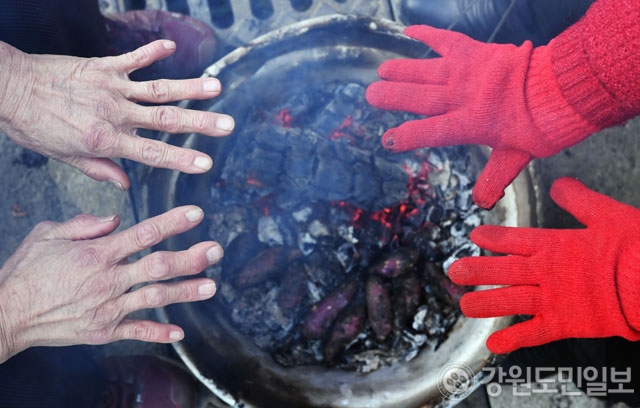▲ 영하의 추운 날씨에 춘천 번개시장에서 상인들이 불을 쬐며 손을 녹이고 있다.  최유진