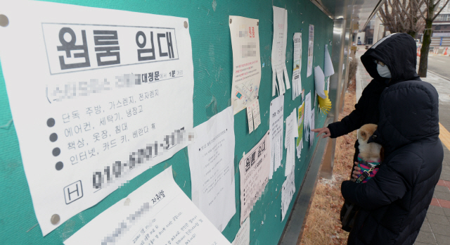 ▲ 새 학기를 앞둔 19일 춘천교대 학생들이 게시판에 붙은 원룸과 하숙집 전단지를 보고 있다.  방병호