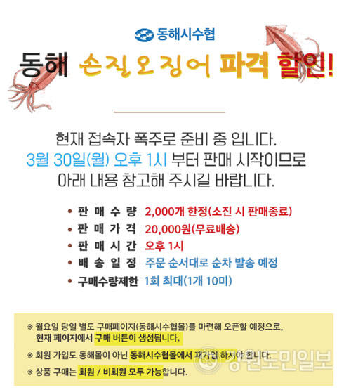 ▲ 30일 오징어 판매를 예고한 ‘동해수협몰’ 구매페이지 캡쳐
