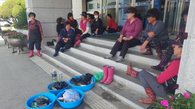 ▲ 고성 거진항수산물판매장 상인들이 17일 군청 정문 앞에서 집수관 유입 해수 오염으로 수조내 활어가 폐사했다며 대책마련을 요구하는 항의시위를 했다. 이동명