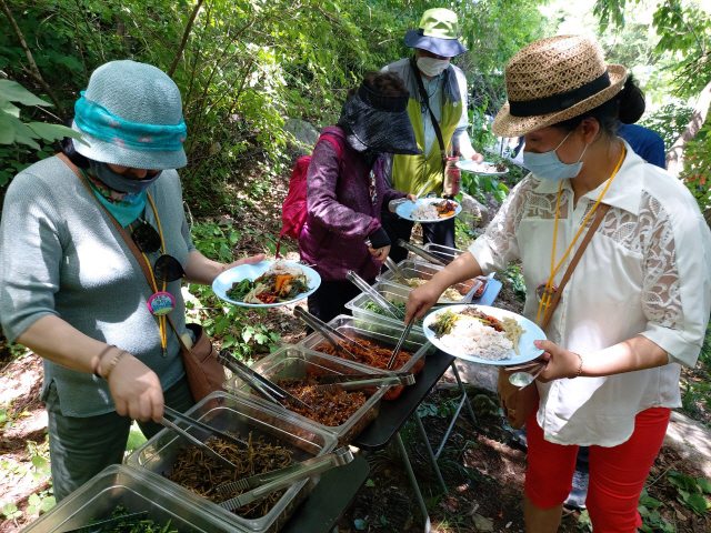 양구시티투어 관광객들이 펀치볼 둘레길에서 숲밥을 즐기고 있다.