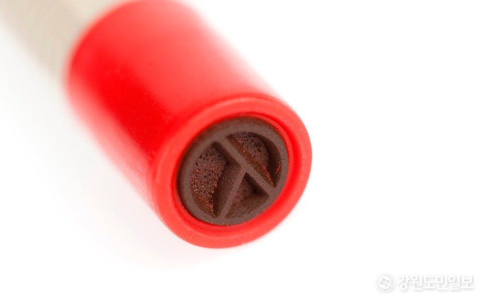 투표도장 [강원도민일보 자료사진]