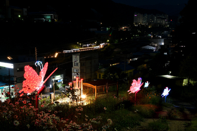 ▲ 정선 사회적기업인 나눔이노스가 고한 야생화 요정 빛의 정원에 LED 나비조형물 4개를 기부해 새로운 볼거리를 제공했다.