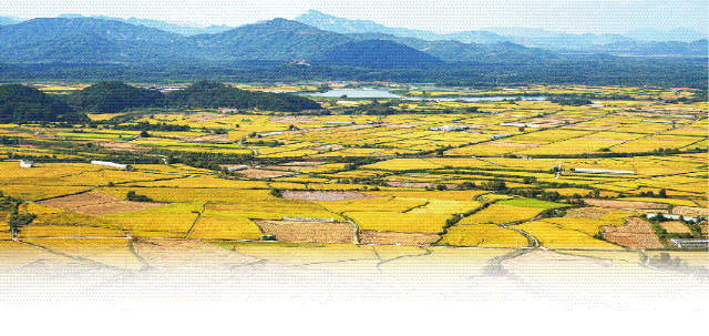 [DMZ in] 나라살림 돕는 ‘드넓은 평야’ 세종의 마음 머무른 곳