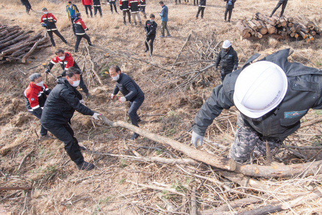 최문순 도지사는 지난해 2월 19일 고성 토성면에서 산림피해 벌채 현장을 방문, 점검활동을 했다.