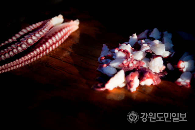 ▲ 고성 문어