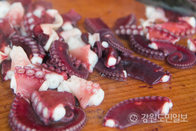 ▲ 동해안 최북단 저도어장 대문어