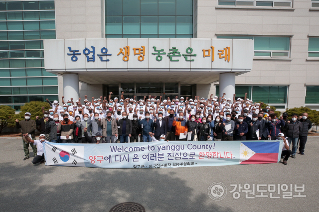 ▲ 지난 7일까지 외국인 계절근로자 258명의 양구지역 농가 배치가 이뤄져 고질적인 농촌 인력부족 현상 해소를 통한 계획 영농 실현에 큰 도움이 될 전망이다.