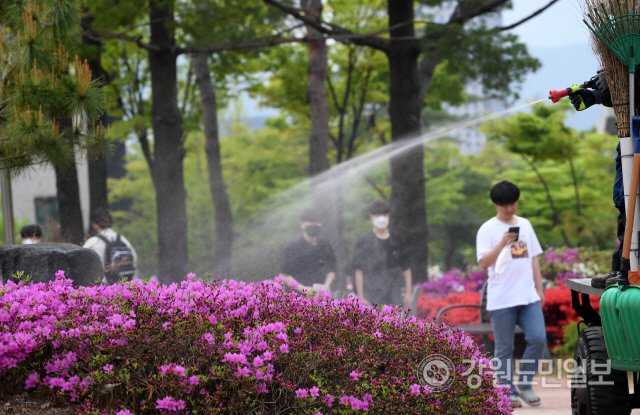 ▲ 초여름 날씨를 보인 강원대학교 춘천캠퍼스에서 학교 관계자가 철쭉에 물을 주고 있다. 김정호