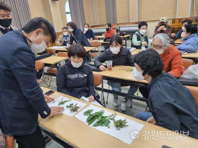 ▲ 평생학습도시를 지향하고 있는 평창군이 지역내 각 읍 면별로 주민들의 수요를 고려한 다양한 평생학습 프로그램을 운영, 농촌지역 주민들의 삶의 질 향상에 도움을 주고 있어 주목받고 있다. 약용식물 채취 실습. 신현태