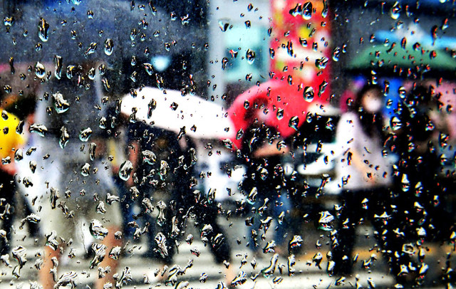 ▲ 춘천 중앙로에서 우산을 쓴 시민들이 건널목을 건너고 있다. [강원도민일보 DB]