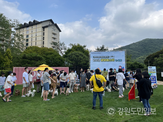 ▲ 홍천 소노펫 클럽앤리조트 비발디파크에서 2022 댕댕페스타 in 강원 행사가 24, 25일 이틀간의 일정으로 개최됐다.