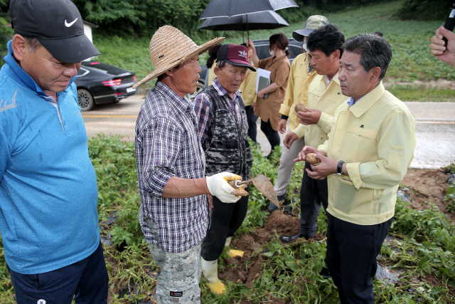 서흥원 군수가 지난달 6일 해안면 감자재배지 피해현장을 방문해 상황을 파악했다.