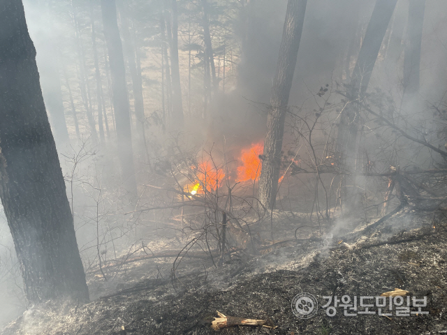 ▲ 27일 오전 10시 50분쯤 양양군 현북면 어성전리 명주사 인근에 임차 헬기가 추락해 소방당국이 출동했다.