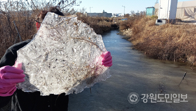 ▲ 30일 한파경보가 내려진 철원군 갈말읍의 농업용 저류지에 얼음이 꽁꽁 얼어 맹추위를 실감케 하고 있다.이재용